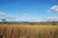 Icone do Parque do Jalapao - Estado do Tocantins