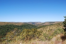 Icone do Parque do Jalapao - Estado do Tocantins