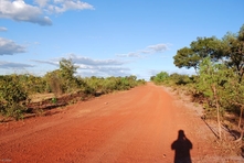 Icone do Parque do Jalapao - Estado do Tocantins