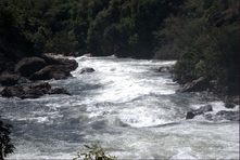 Icone do Parque do Jalapao - Estado do Tocantins