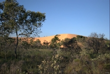 Icone do Parque do Jalapao - Estado do Tocantins