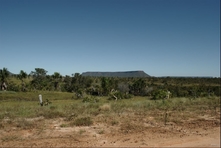 Icone do Parque do Jalapao - Estado do Tocantins