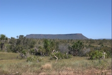 Icone do Parque do Jalapao - Estado do Tocantins