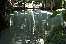 Icone do Parque do Jalapao - Estado do Tocantins