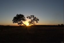 Icone do Parque do Jalapao - Estado do Tocantins