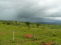 Icone da pequena cidade de Canavieiras - Estado de Bahia