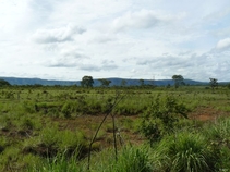 Icone da pequena cidade de Canavieiras - Estado de Bahia