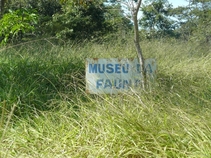 Vignette du parc de Goiânia - Etat de LagoMesa