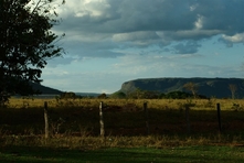 Icone ave da Chapada dos Guimaraes - Estado do Mato Grosso