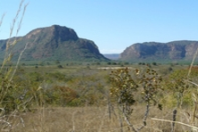 Icone ave da Chapada dos Guimaraes - Estado do Mato Grosso