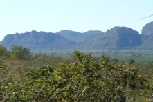 Icone ave da Chapada dos Guimaraes - Estado do Mato Grosso