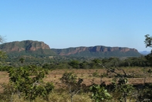 Icone do este do Estado do Mato Grosso - Cultura intensiva