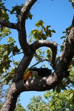 Foto do parque localizado acimado do vilarejo Pirenópolis - Estado de Goias