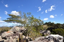 A pequena cidade de Pirenópolis - Estado de Goiás