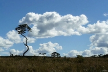 Foto do parque localizado acimado do vilarejo Pirenópolis - Estado de Goias