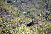 A Chapada dos Veadeiros - Estado de Goiás