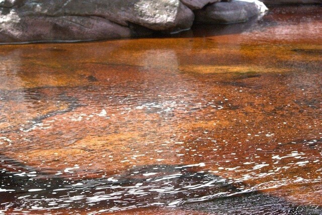 Foto do Parque de Mucugê - Chapada Diamantina - Estado de Bahia