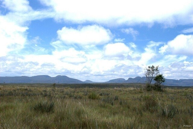 Foto do Parque de Mucugê - Chapada Diamantina - Estado de Bahia