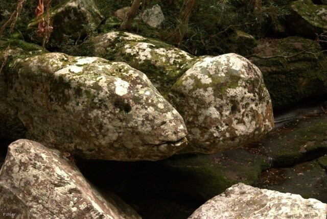 Foto do Parque de Mucugê - Chapada Diamantina - Estado de Bahia