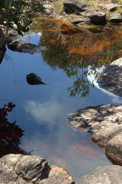 Foto do Parque de Mucugê - Chapada Diamantina - Estado de Bahia