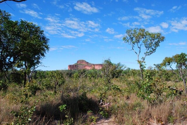 Foto do Parque do Jalapao - Estado do Tocantins