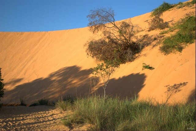 Foto das dunas - Parque do Jalapao - Estado do Tocantins