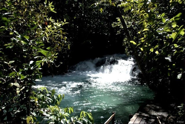 Foto de Mateiros, quilombo, cachoeiras - Parque do Jalapao - Estado do Tocantins