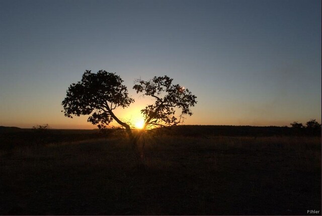 Foto do Parque do Jalapao - Estado do Tocantins