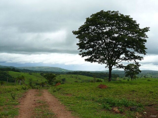 Fotoografia da parte ao norte do estado de Goiás