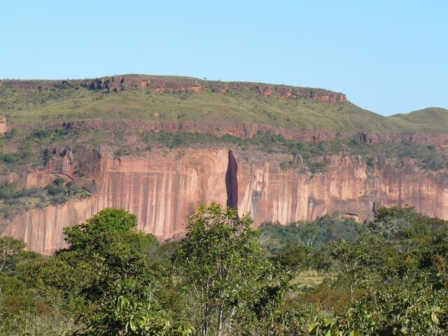 Icone do este do Estado do Mato Grosso - Cultura intensiva