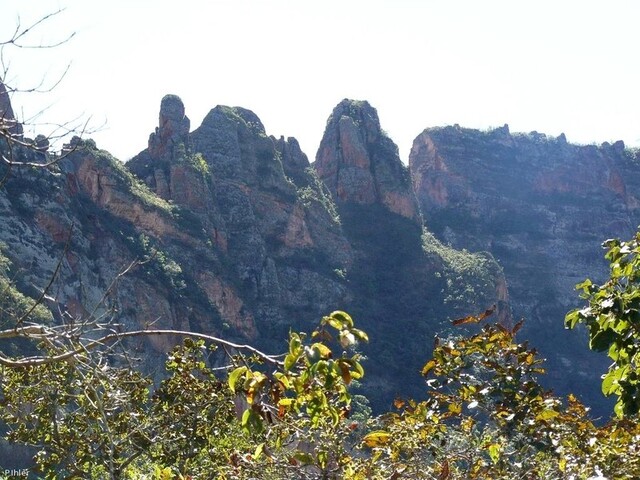 Icone da Chapada dos Guimaraes do Estado de Mato Grosso