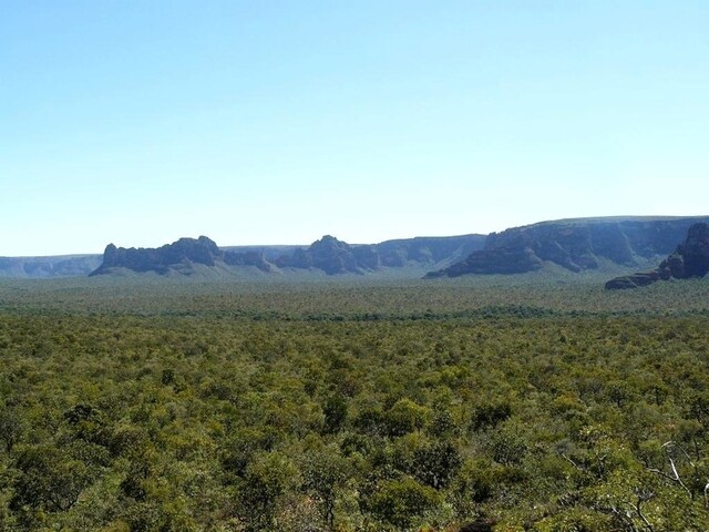 Icone da Chapada dos Guimaraes do Estado de Mato Grosso