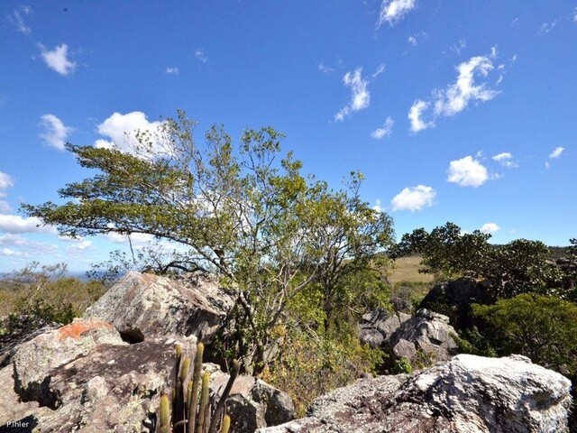 Foto do parque localizado acimado do vilarejo Pirenópolis - Estado de Goias