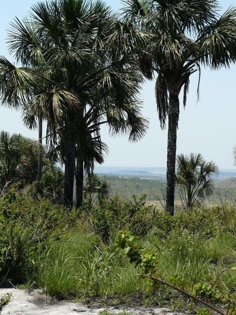 Foto do parque localizado acimado do vilarejo Pirenópolis - Estado de Goias