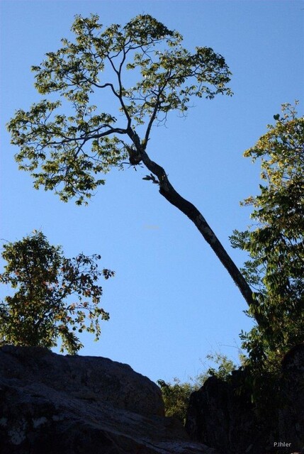 Foto da cachoeira Capivara - Chapada dos Veadeiros - Estado de Goiás