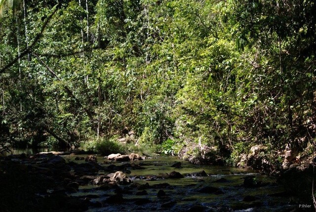 Foto da cachoeira Macoquinho - Chapada dos Veadeiros - Estado de Goiás